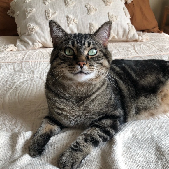 Meet your Posher, Jennifer - Picture 1 of 1